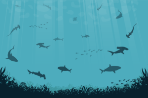 ocean scene with sharks