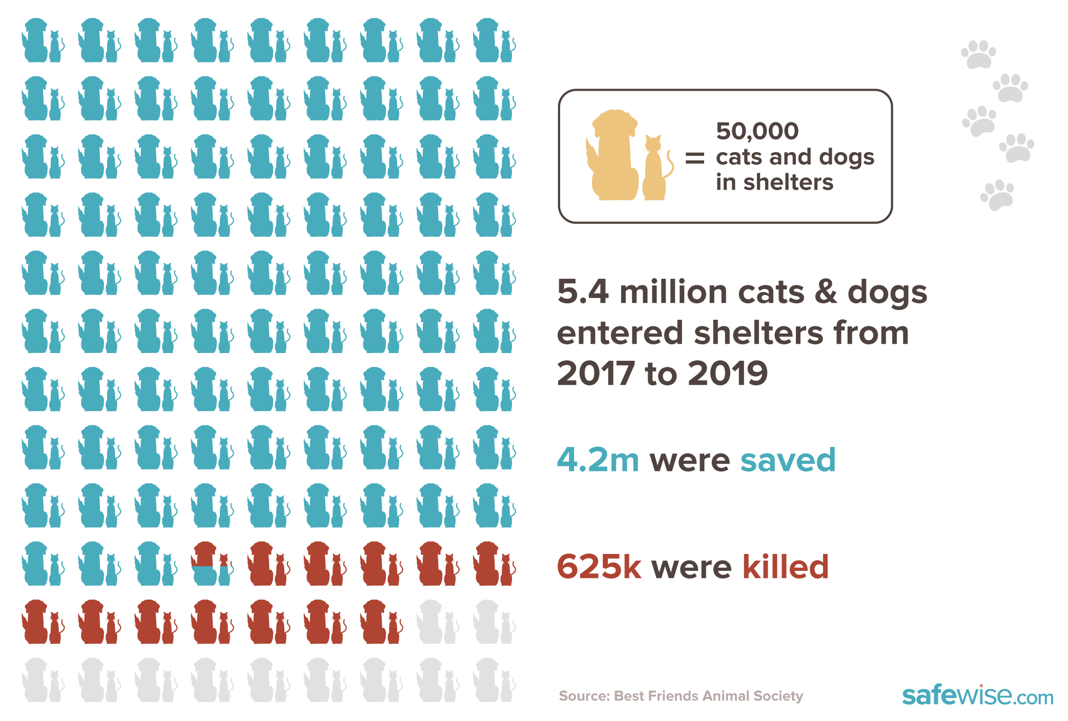 Shelter animal save rate infographic