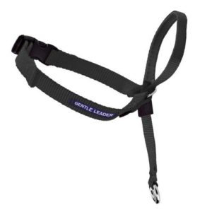 PetSafe Gentle Lead Mouth Harness