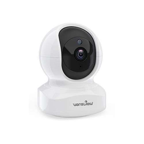 online surveillance camera viewing