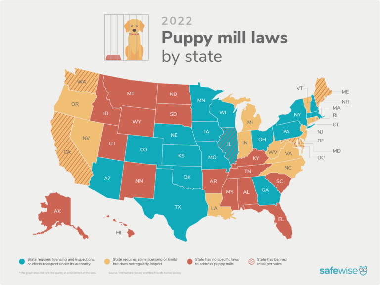 Do All States Require Dog Licenses