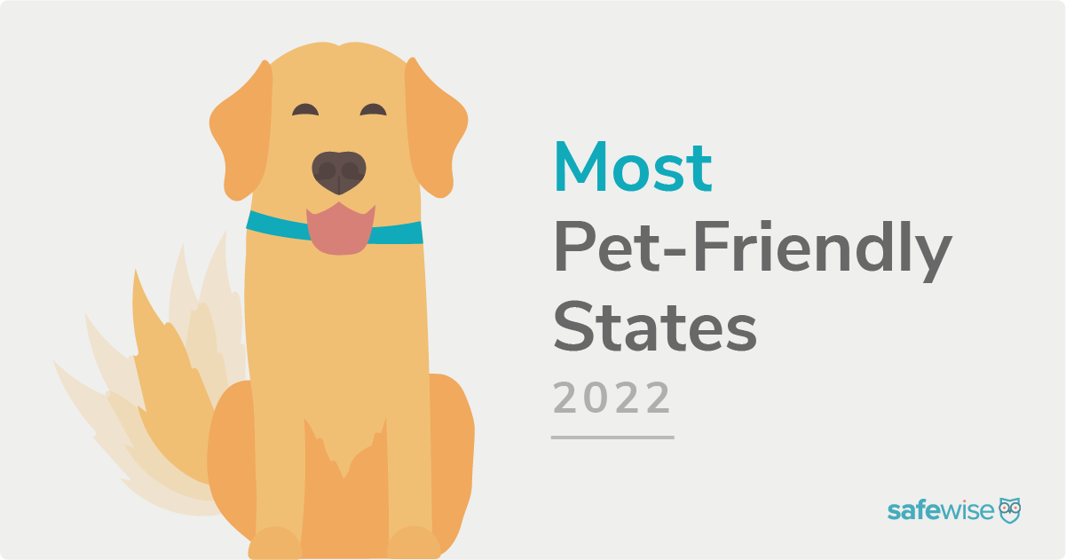 https://www.safewise.com/app/uploads/2020/08/SW_Most-Pet-Friendly-States_Featured-Image.png