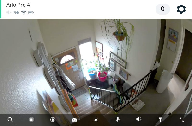 My Arlo Live Video Feed