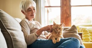 cat on womans lap