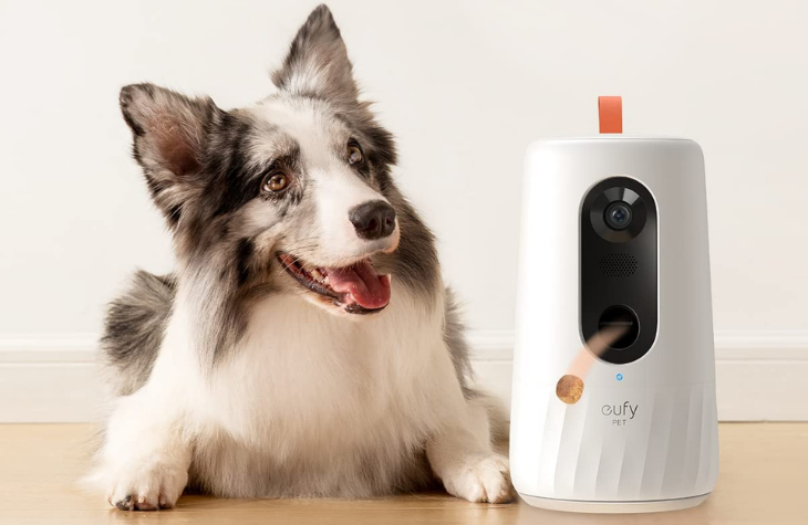 Eufy Pet Dog Camera D605 Review: A Treat-Dispensing Camera That Pans
