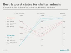 The Most (and Least) Pet-Friendly States In America | SafeWise