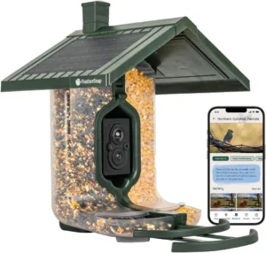 Bird feeder with a camera