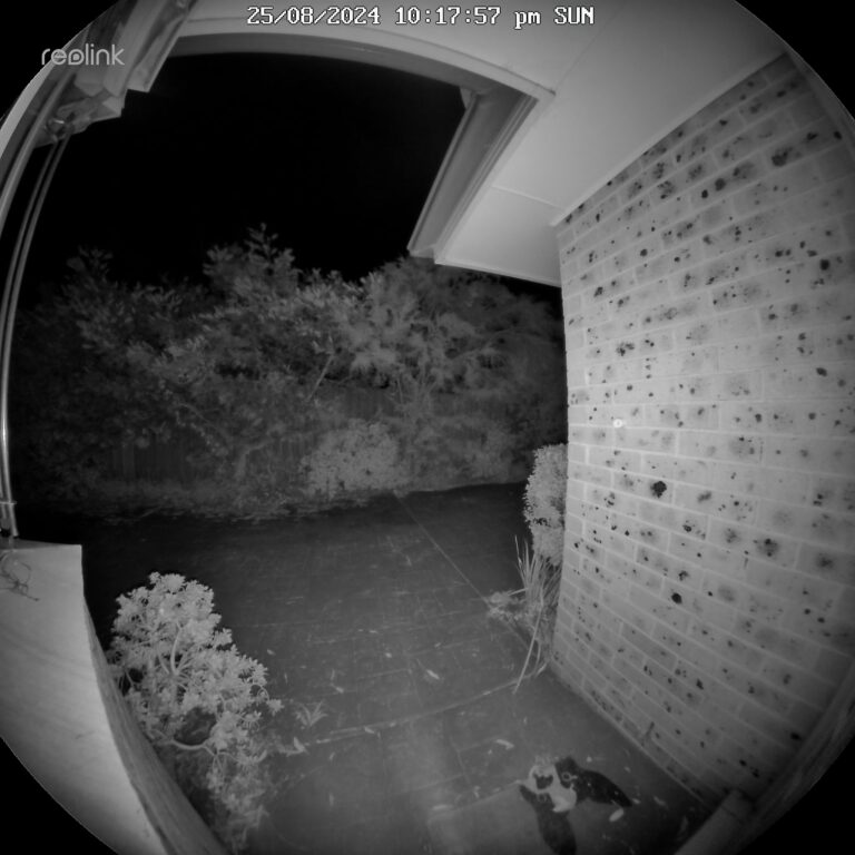 A black and white night vision view from the Reolink Doorbell Battery showing a front doorstep.