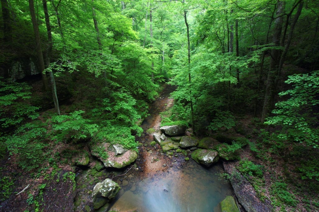 A small creek flows through a deep gorge in Alabama