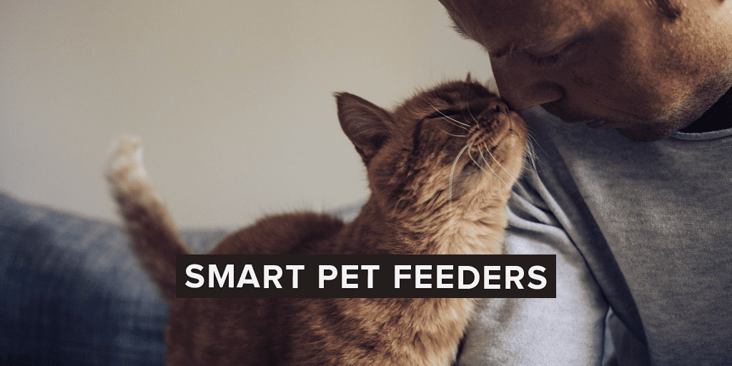 The 5 Best Automatic Pet Feeders For Cats Dogs Safewise