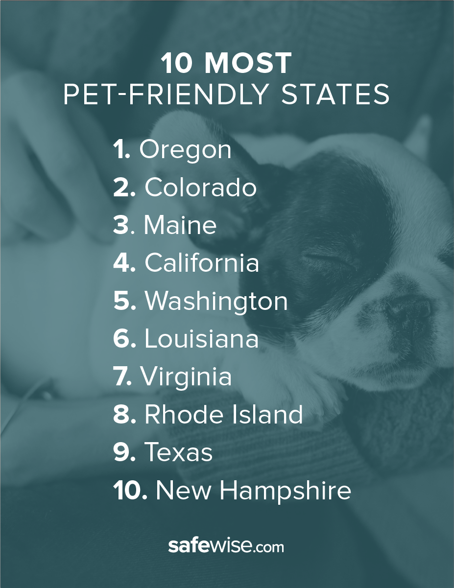 The Most Pet Friendly States In America Safewise